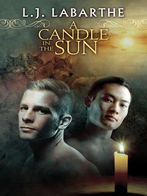 cover image of A Candle in the Sun